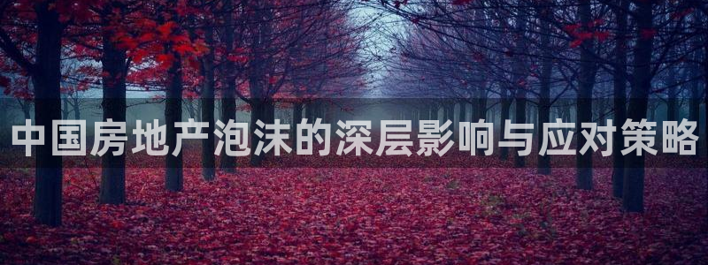 新宝5登录界面：中国房地产泡沫的深层影响与应对策略