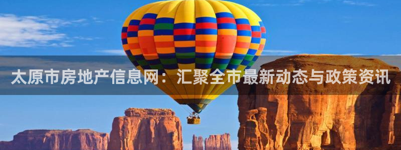 新宝5 代理