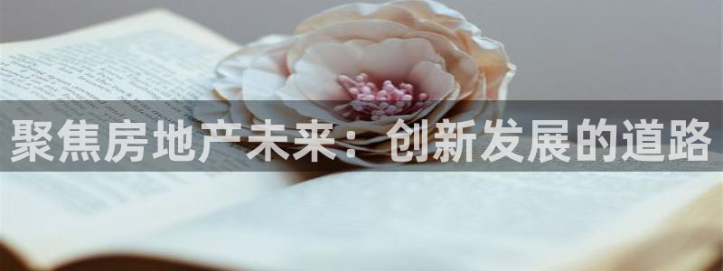 新宝5招商222111：聚焦房地产未来：创新发展的道路