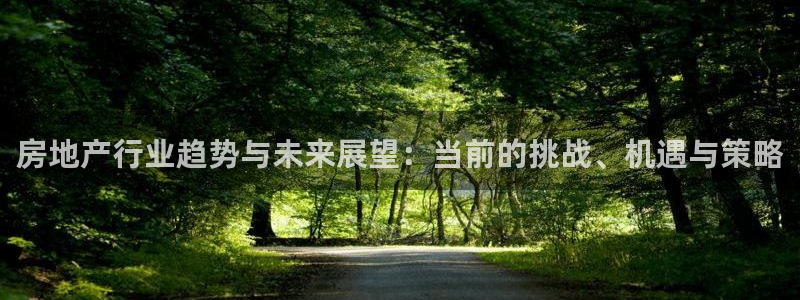 新宝5入口：房地产行业趋势与未来展望：当前的挑战、机遇与策略