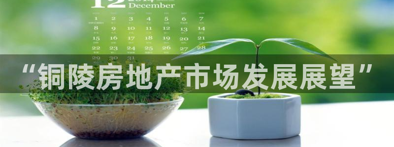 新宝G5：“铜陵房地产市场发展展望”