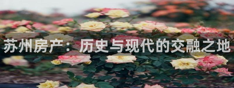 新宝5为啥开：苏州房产：历史与现代的交融之地