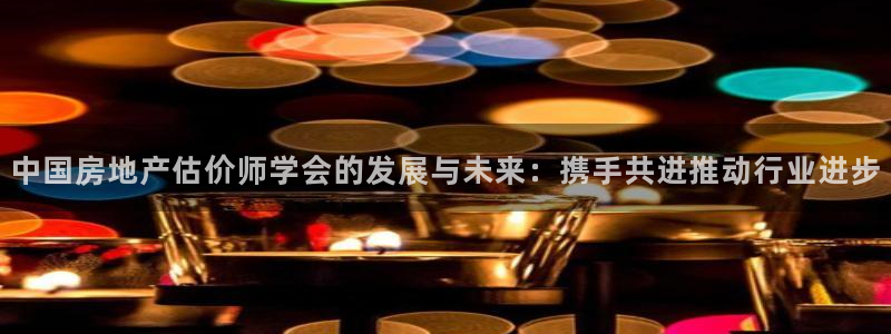 新宝速5：中国房地产估价师学会的发展与未来：携手共进推动行业