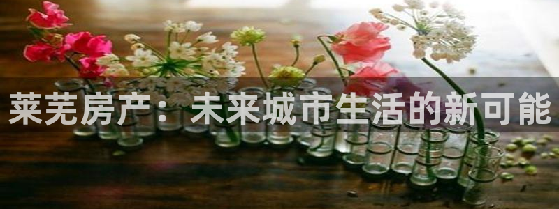 新宝5注册登录：莱芜房产：未来城市生活的新可能