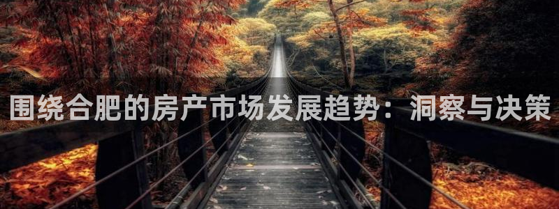 新宝5彩票娱乐平台：围绕合肥的房产市场发展趋势：洞察与决策