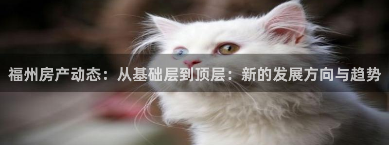 新宝3得74OO5：福州房产动态：从基础层到顶层：新的发展方