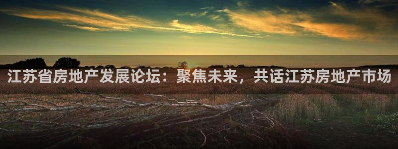 新宝5是什么样子的