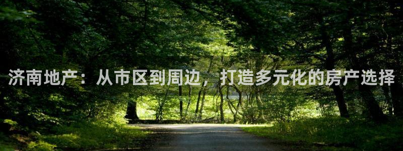 新宝5褚32OO59：济南地产：从市区到周边，打造多元化的房