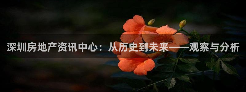 2022新宝骏rs 5：深圳房地产资讯中心：从历史到未来——