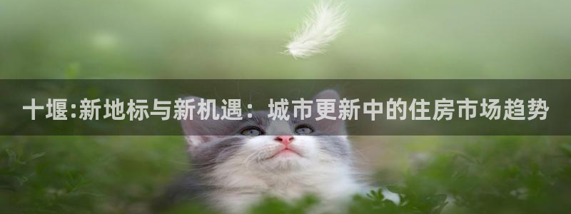 新宝5如何注册登录：十堰:新地标与新机遇：城市更新中的住房市