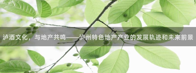 新宝5策略：泸酒文化，与地产共鸣——泸州特色地产产业的发展轨