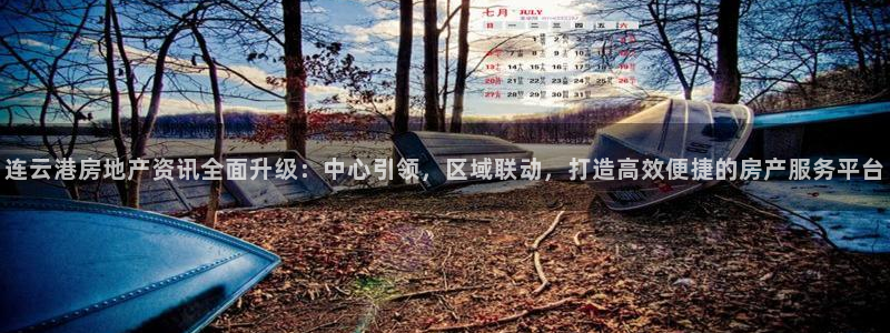 新宝5网
