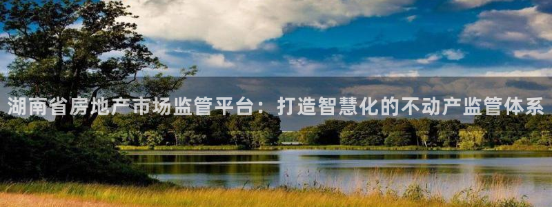 新宝5台卡：湖南省房地产市场监管平台：打造智慧化的不动产监管