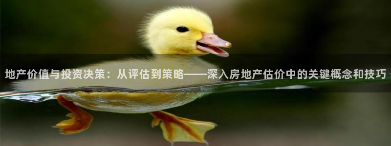 新宝5平台注册公司：地产价值与投资决策：从评估到策略——深入