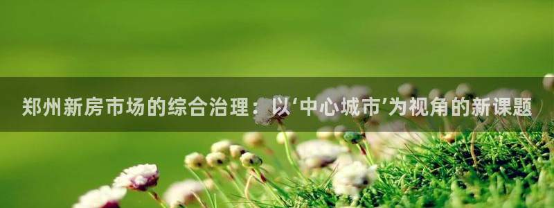 新宝奇迹GG5：郑州新房市场的综合治理：以‘中心城市’为视角