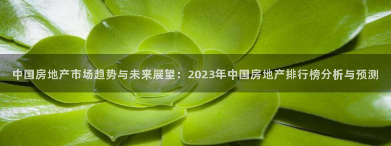 新宝5蒋74OOO5：中国房地产市场趋势与未来展望：2023