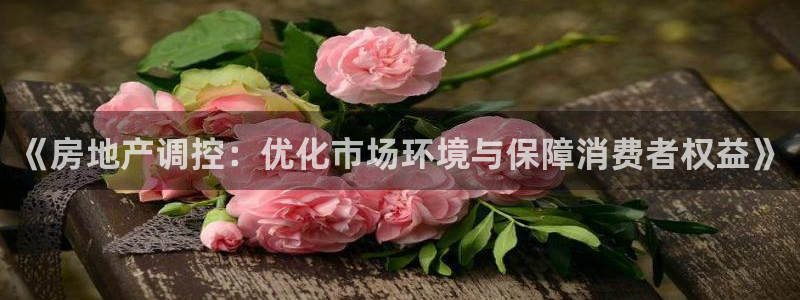 新宝5平台登陆