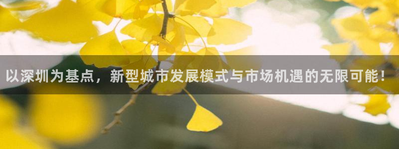 新宝5平台登录：以深圳为基点，新型城市发展模式与市场机遇的无