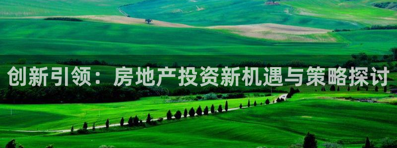 新宝5娱乐登录：创新引领：房地产投资新机遇与策略探讨