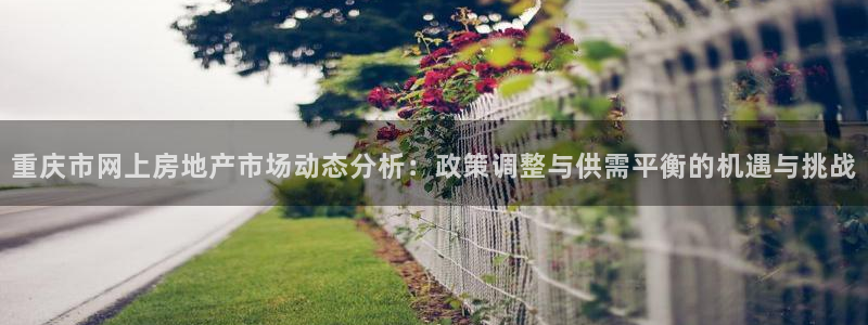新宝娱乐5：重庆市网上房地产市场动态分析：政策调整与供需平衡