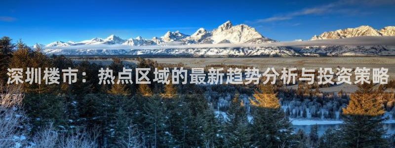 新宝5彩票娱乐平台