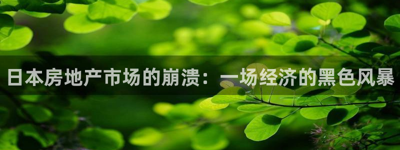 新宝5登录测速中心：日本房地产市场的崩溃：一场经济的黑色风暴