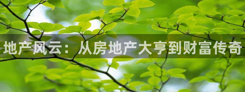 新宝5 代理