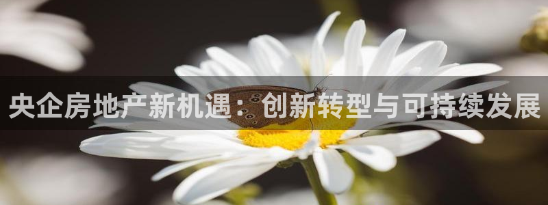 新宝5可靠吗：央企房地产新机遇：创新转型与可持续发展