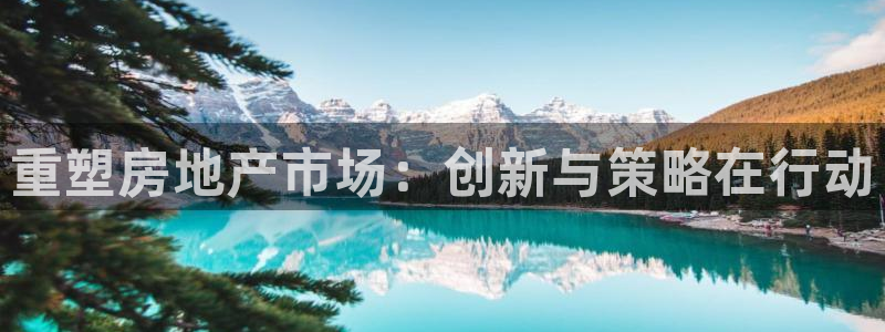 新宝5月：重塑房地产市场：创新与策略在行动