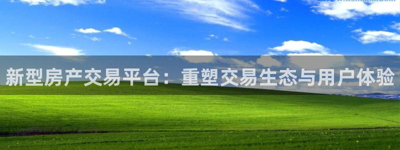 新宝5地址：新型房产交易平台：重塑交易生态与用户体验