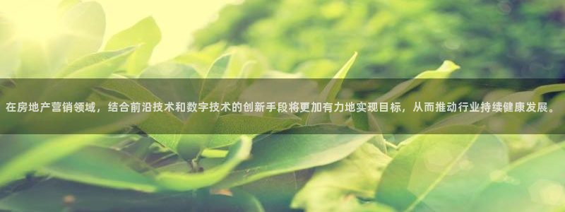 新宝股东王听2 5 5：在房地产营销领域，结合前沿技术和数字
