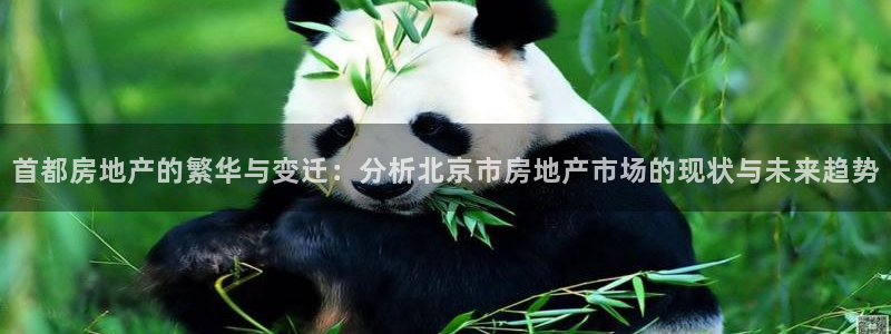 新宝5手机登录：首都房地产的繁华与变迁：分析北京市房地产市场