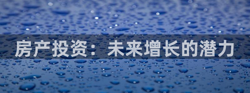 新宝5现在还能玩吗：房产投资：未来增长的潜力