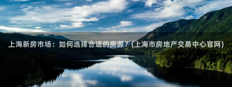 新宝G5：上海新房市场：如何选择合适的房源？(上海市房地产交