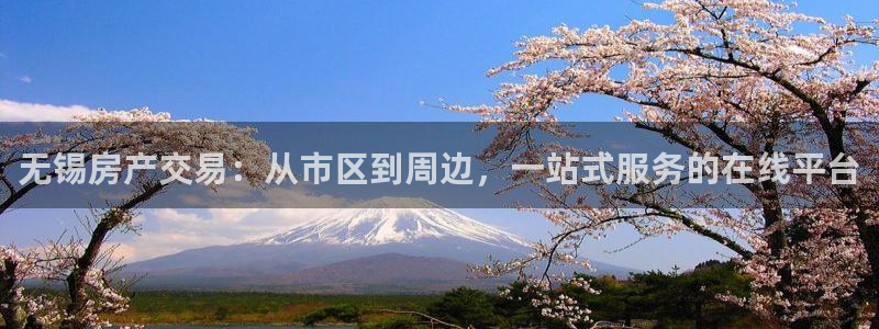 新宝5直属