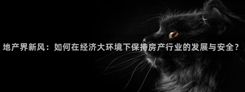 新宝5是什么样子的
