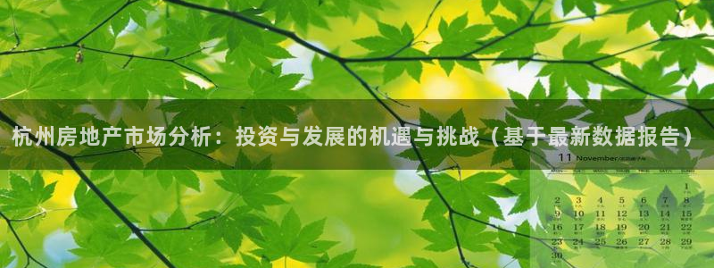 新宝5平台咋样：杭州房地产市场分析：投资与发展的机遇与挑战（