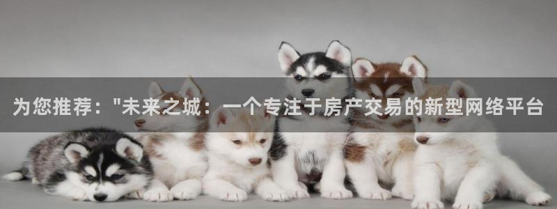 新宝5登录地址：为您推荐：\