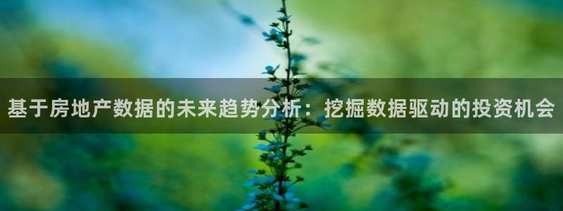 新宝5内部：基于房地产数据的未来趋势分析：挖掘数据驱动的投资