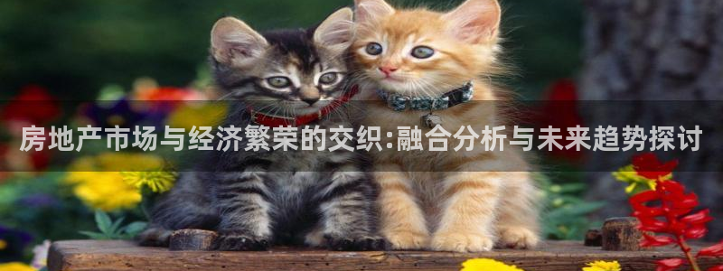 新宝5手机登录：房地产市场与经济繁荣的交织:融合分析与未来趋