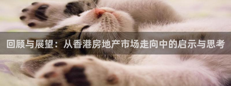 新宝5登录网址：回顾与展望：从香港房地产市场走向中的启示与思