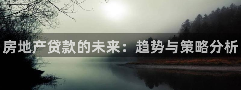 新宝5首页：房地产贷款的未来：趋势与策略分析