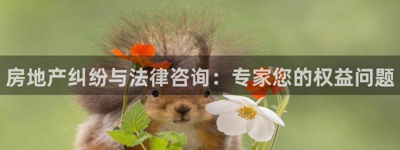 新宝5手机测速：房地产纠纷与法律咨询：专家您的权益问题