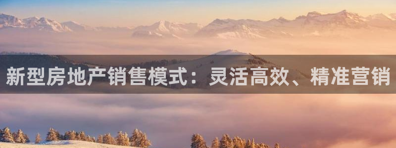 新宝5苹果手机下载：新型房地产销售模式：灵活高效、精准营销