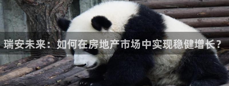 新宝5平台注册：瑞安未来：如何在房地产市场中实现稳健增长？