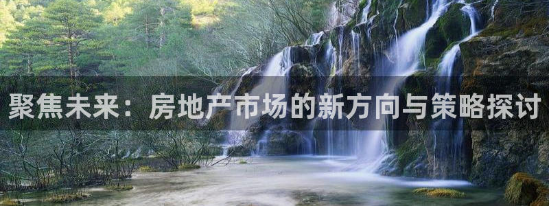 新宝5娱乐经：聚焦未来：房地产市场的新方向与策略探讨