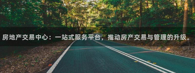 新宝6霸哥5