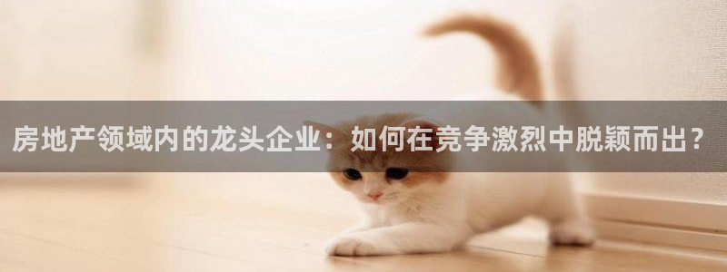 新宝5娱乐注：房地产领域内的龙头企业：如何在竞争激烈中脱颖而