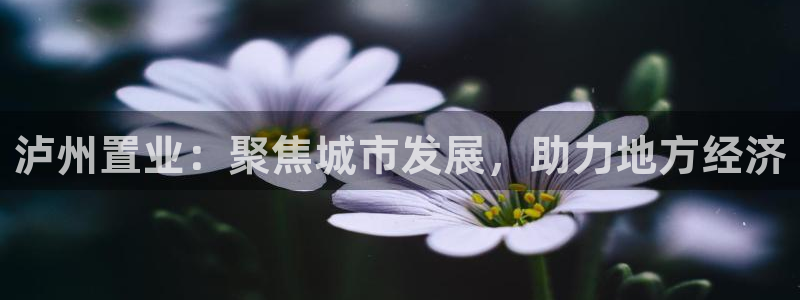 新宝5手机登录：泸州置业：聚焦城市发展，助力地方经济