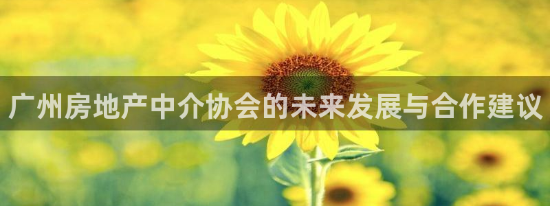 新宝5直属